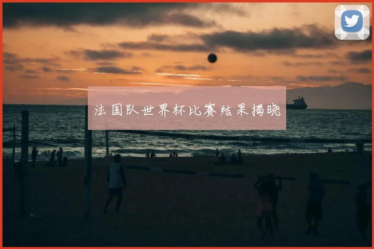 法国队世界杯比赛结果揭晓