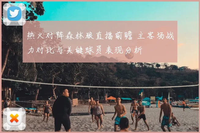 热火对阵森林狼直播前瞻 主客场战力对比与关键球员表现分析