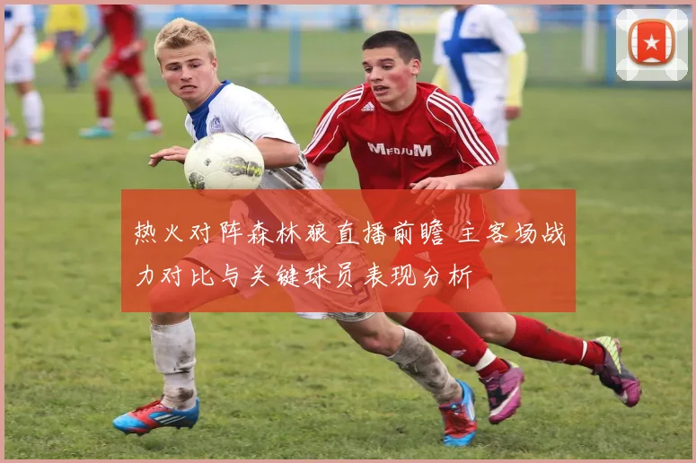 热火对阵森林狼直播前瞻 主客场战力对比与关键球员表现分析