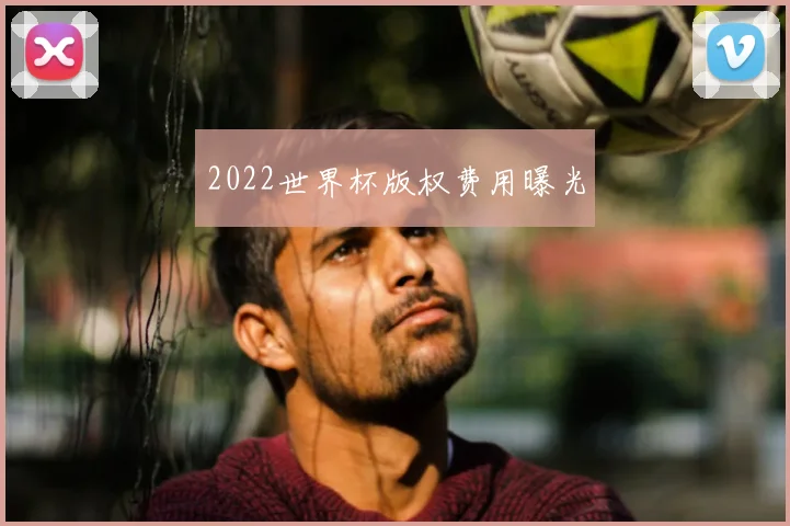 2022世界杯版权费用曝光