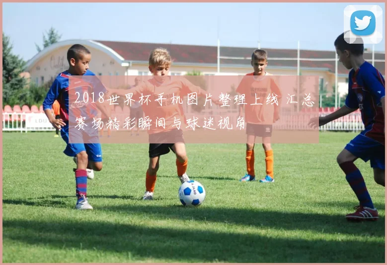 2018世界杯手机图片整理上线 汇总赛场精彩瞬间与球迷视角