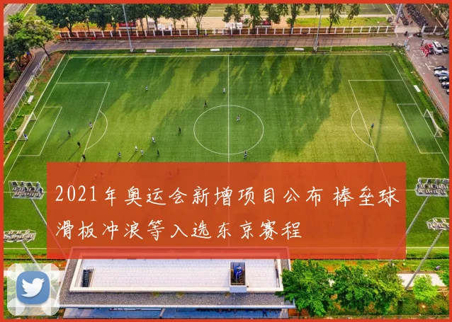 2021年奥运会新增项目公布 棒垒球滑板冲浪等入选东京赛程