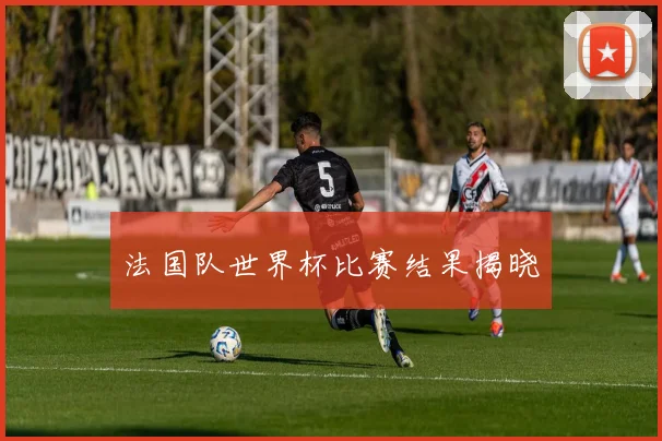 法国队世界杯比赛结果揭晓